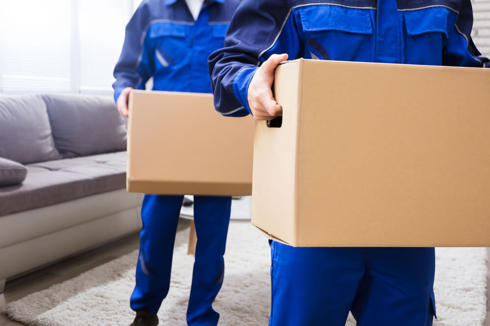 Local Movers Near Me Coconut Creek