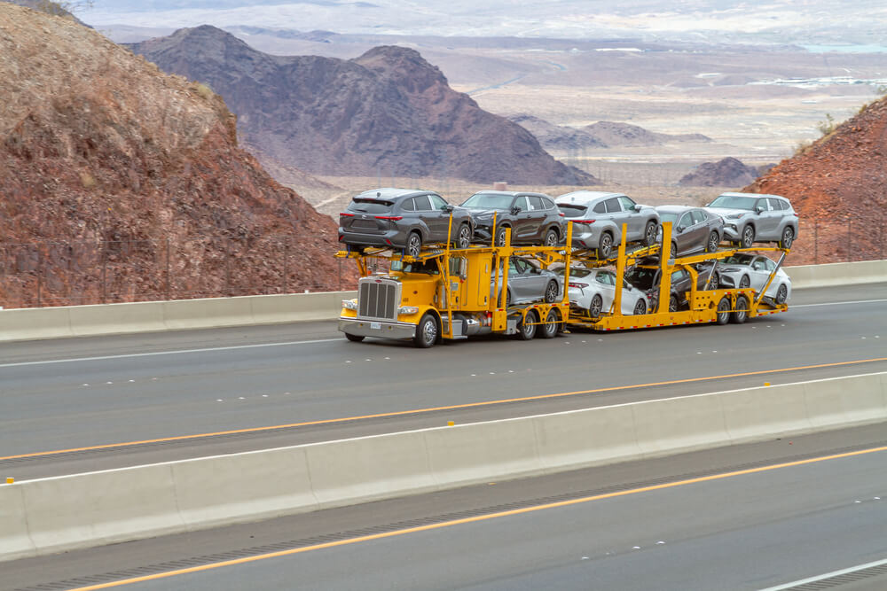 Snowbird Auto Shipping Services